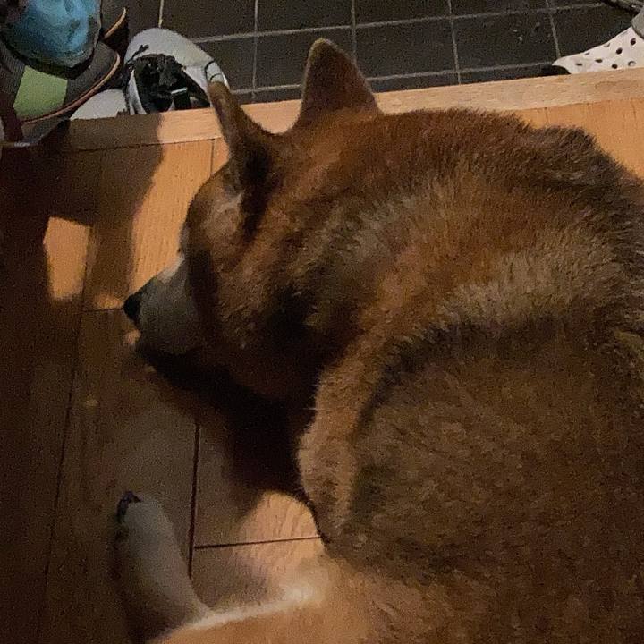 F5918409 b269 4a5d 847e c84ec5b86605 1722428620316