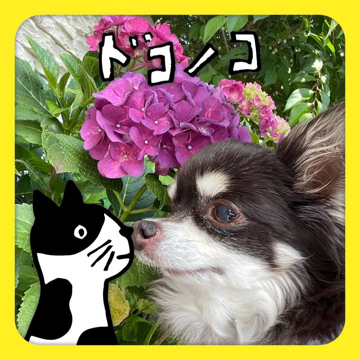 F5918a28 4cdb 4ad4 940e 0379bc60bd57 1622865017166