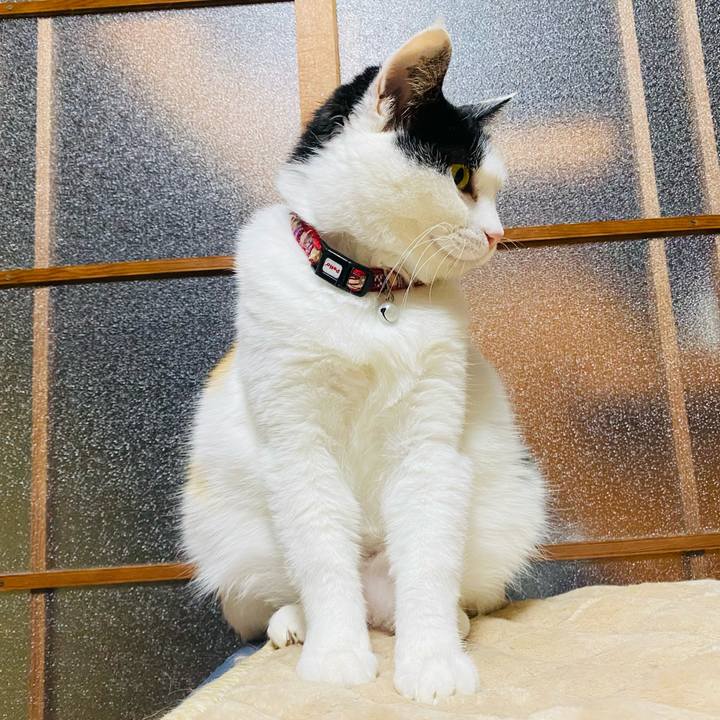 F591a89f 4f7a 438f a7af 196f67f7d8ec 1653258183757