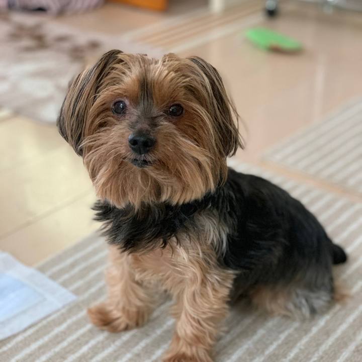 F591f2c4 0996 40e7 9a01 263c54a64d34 1602477549948