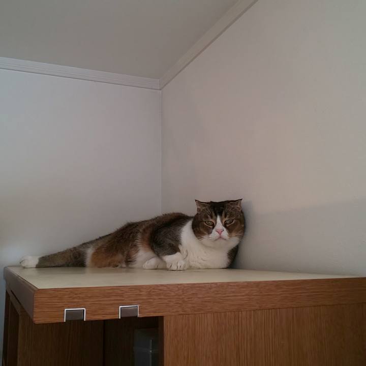 F59215a8 c1e1 4aba b60f f8c3f8b28343 1633143785730