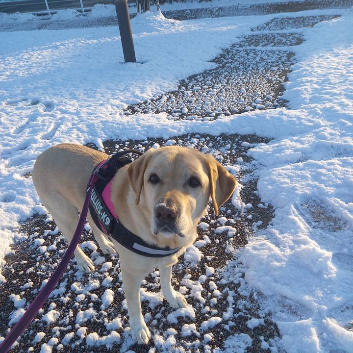 F5922489 c35d 4ac7 ba41 622fa5f30011 1610081266215