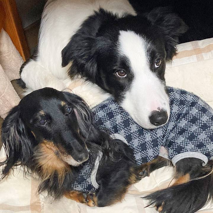 F59231e3 b384 47b7 a9e7 cfced2fe6039 1769930395454