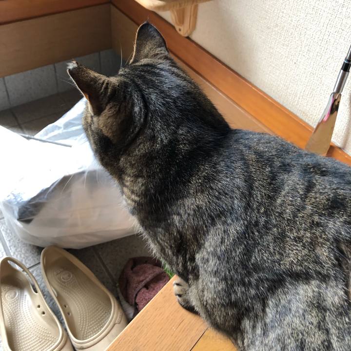 F59246f4 87a2 4b7a ab95 d1ccc00f77e3 1514521932520