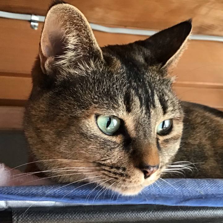 F5927583 22d4 4d0b 9b87 bea32487d06a 1712451101465