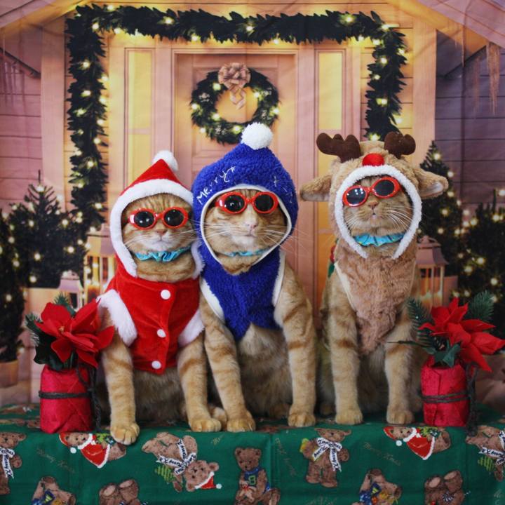 F59289bb ba94 4880 a7e6 215e3da1e624 1734949311968