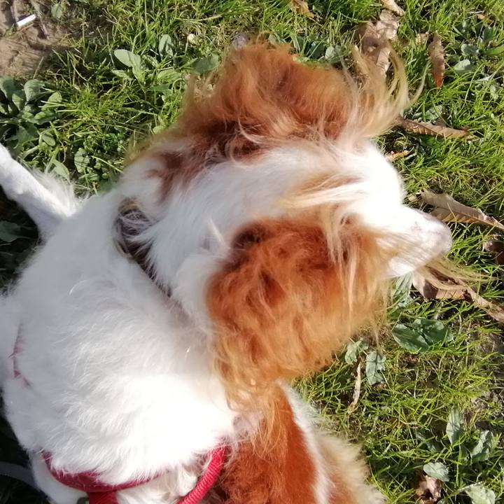 F5928bd2 0890 4501 a4d6 e1307458d7e8 1573990231871