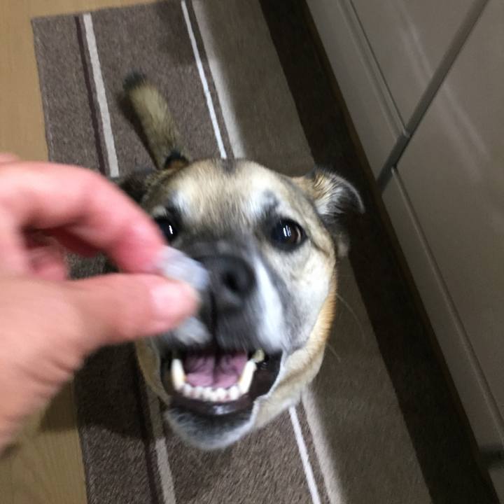 F5929d96 147a 4538 9610 f46bcbe3ab9f 1511515760308