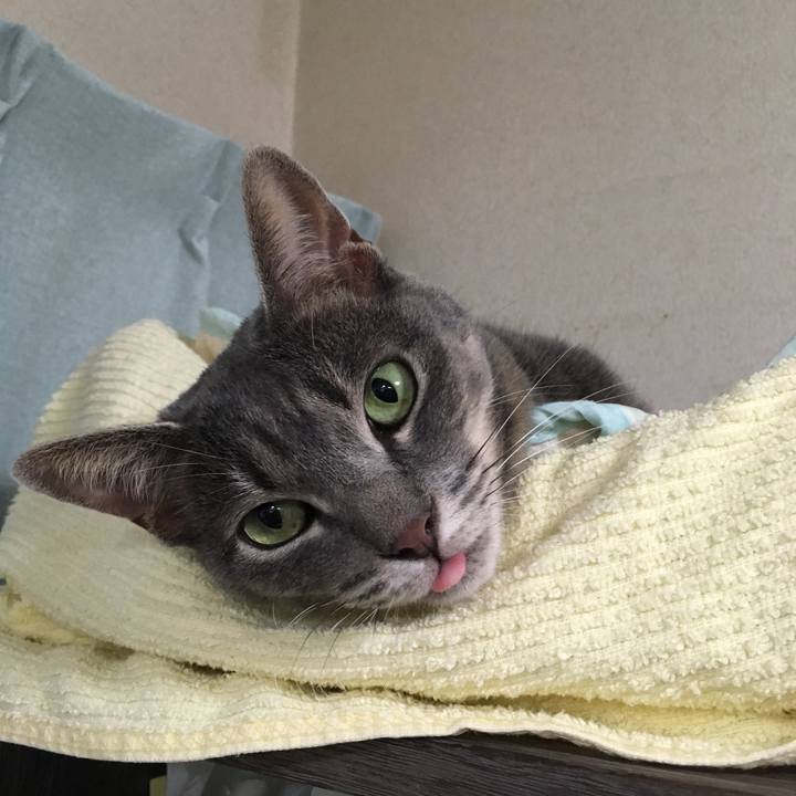 F5931bce ecca 4e8a 8ae9 e0b77999828f 1565867195693