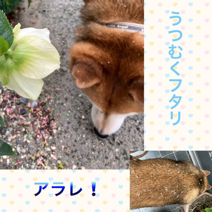 F59328da 80ad 4186 9a9c 79c38a69a73d 1711152882851