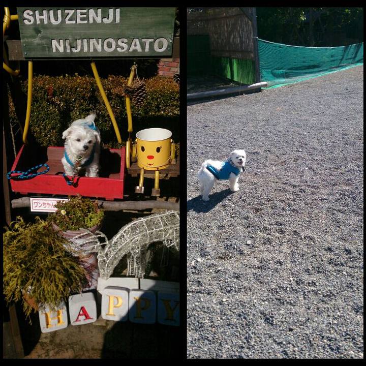 F5938c35 ed60 4cd0 abb9 7ef24a36e443 1518087514082