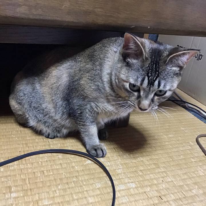 F5939118 ec4e 434e b0e6 96044777bf63 1587349109108