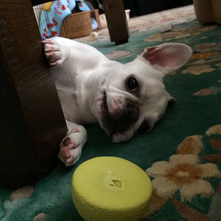 F593b9e0 2fe4 4e90 9849 49a9770f1697 1526731358716