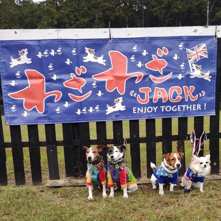 F5946820 e145 414f 9c7d 6309e1dd6f71 1731927707176