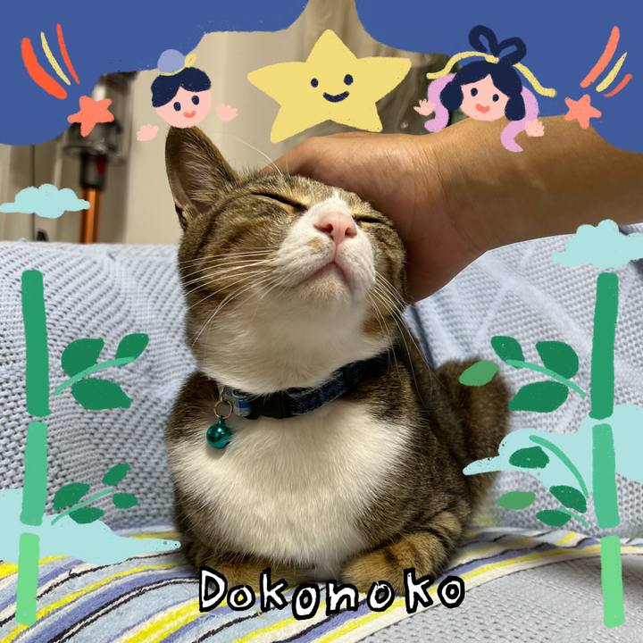 F594ada0 bdbc 4fee a900 21e30b8562a4 1720907152670