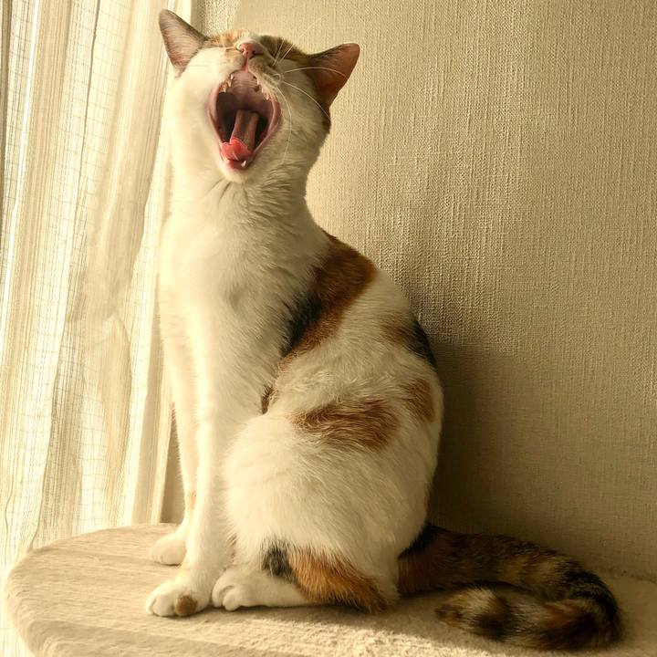 F594e6bd 0778 4f2f 96a9 c42fb28fac11 1584255952050