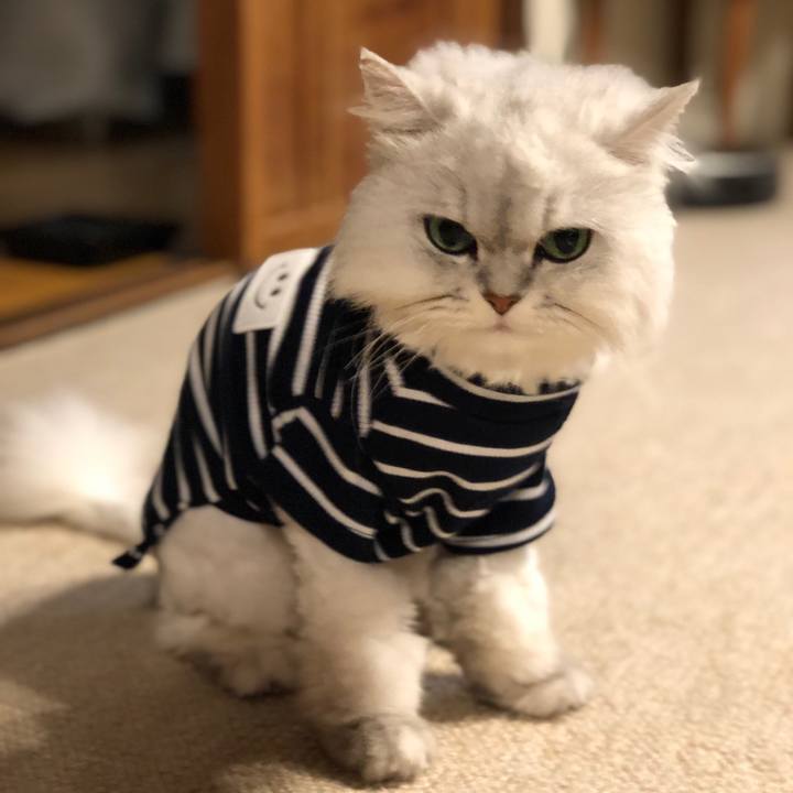 F5951ae2 5985 468d 9ce9 9c911eb57f6a 1558266785985