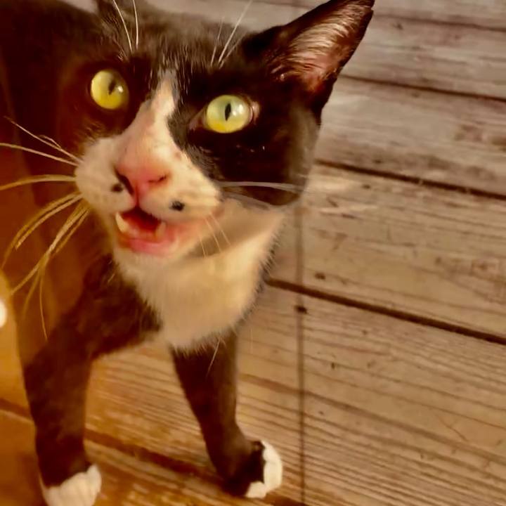 F5953079 b888 4ac1 b458 db605df72688 1751890396620