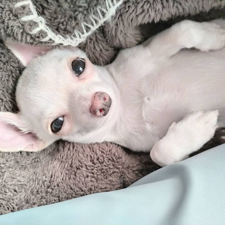 F595598e 3297 4f71 bdeb 179606619df0 1703972099035