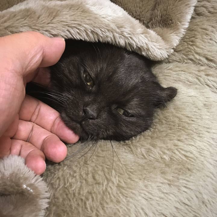 F5956094 cc1b 41f3 8931 3317524bf514 1512519840056