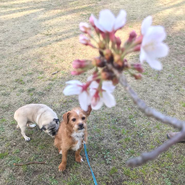 F595bde8 cd71 4ad3 8a1c 3104cc456cec 1584783334448