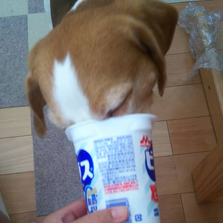 F595def0 194e 4414 b891 f27dca6d61f9 1659764506266