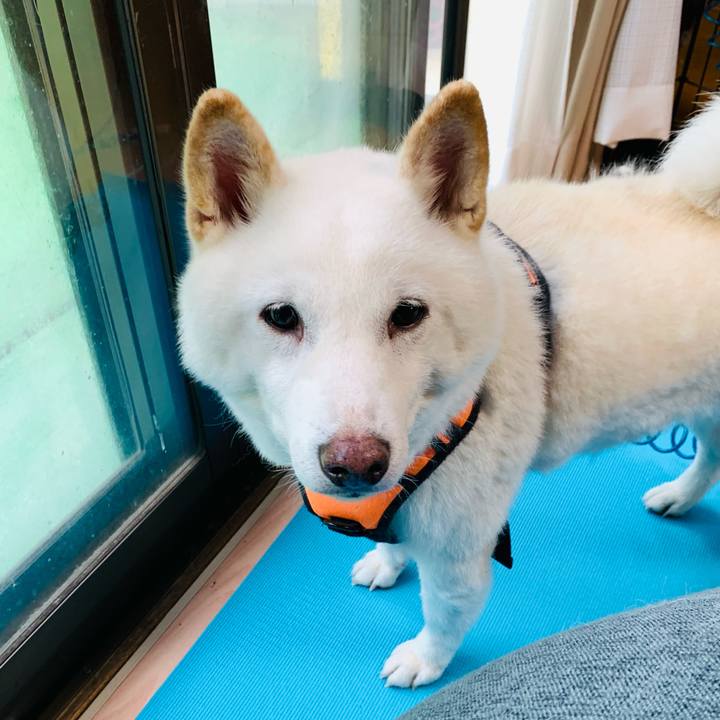 F5960c49 9245 4eb2 af21 8742c93ee2a2 1633298449035