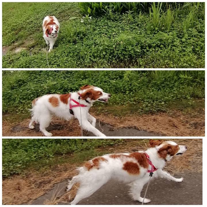 F5964eac 7a73 4918 91bd f08dbf334f27 1594283725653