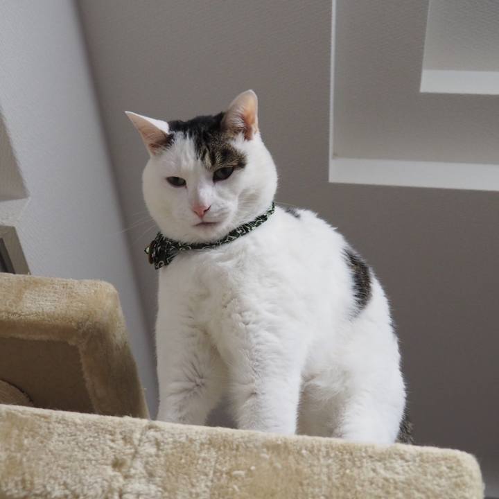 F596744a b11c 46cd 8cc1 b0397e6c8096 1621517846089