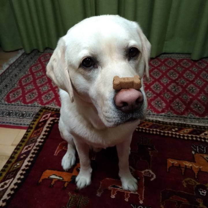 F596cc54 495b 45bf af44 db91c90acc23 1557654907825