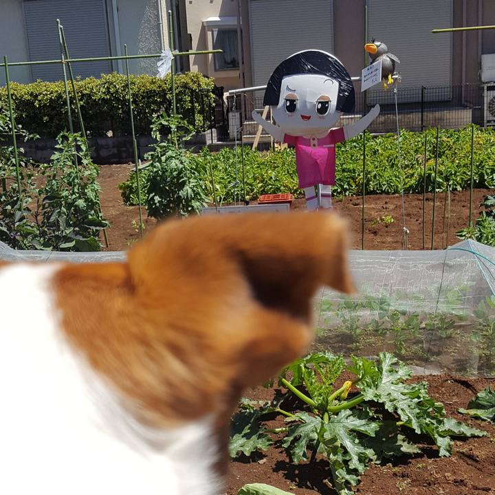 F596e4d2 6856 4d75 83e4 5ec199d7d7aa 1560655901071