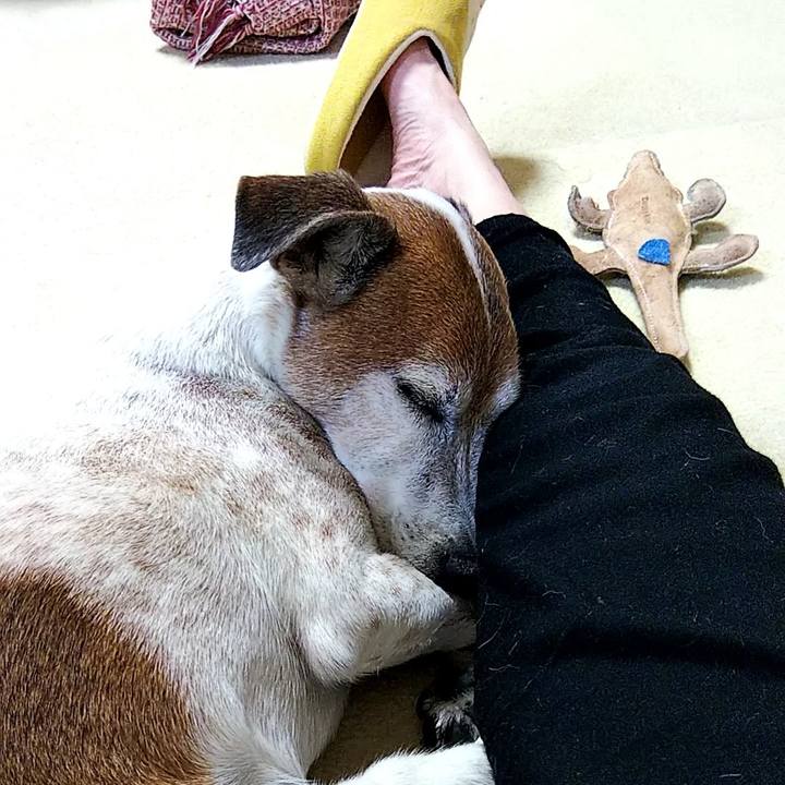 F596e794 a8e2 430e aa1f 26bdc590d15c 1522761643671