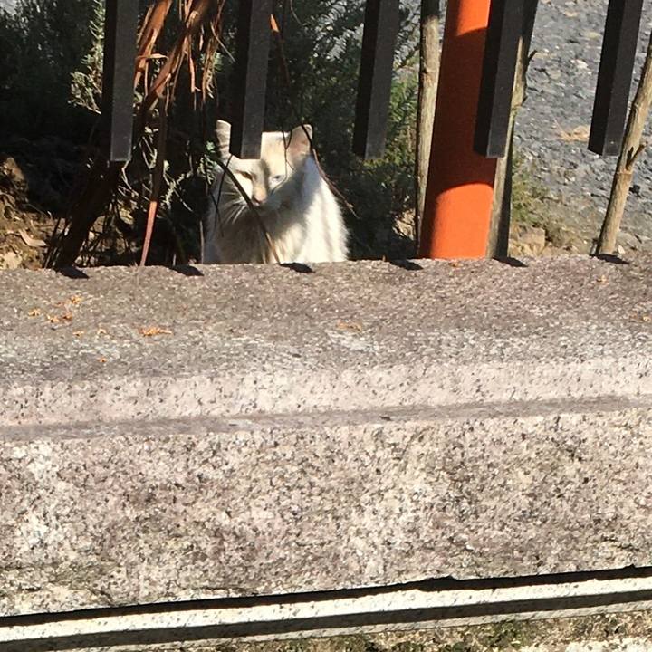 F59725d3 95cf 48cb 8811 588ab2c075af 1605155472001