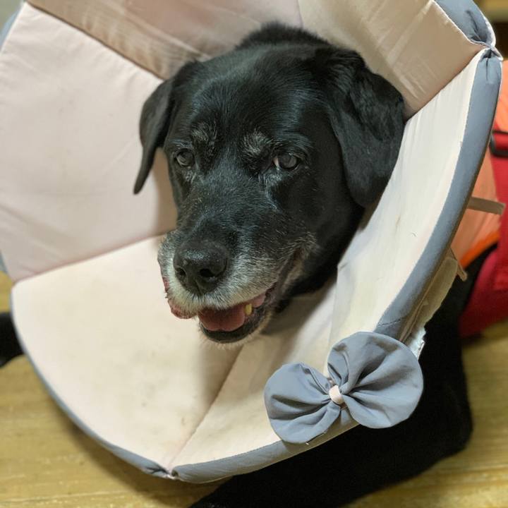 F5972c88 e44f 4eab bd65 23fc11f596d9 1642988731053