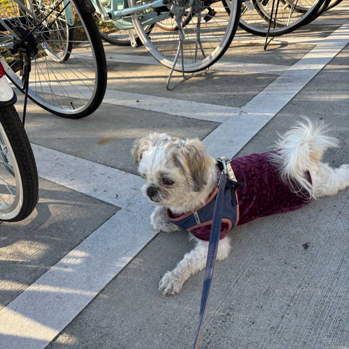 F5973608 2408 4a80 9d07 df07905840ea 1764024003035