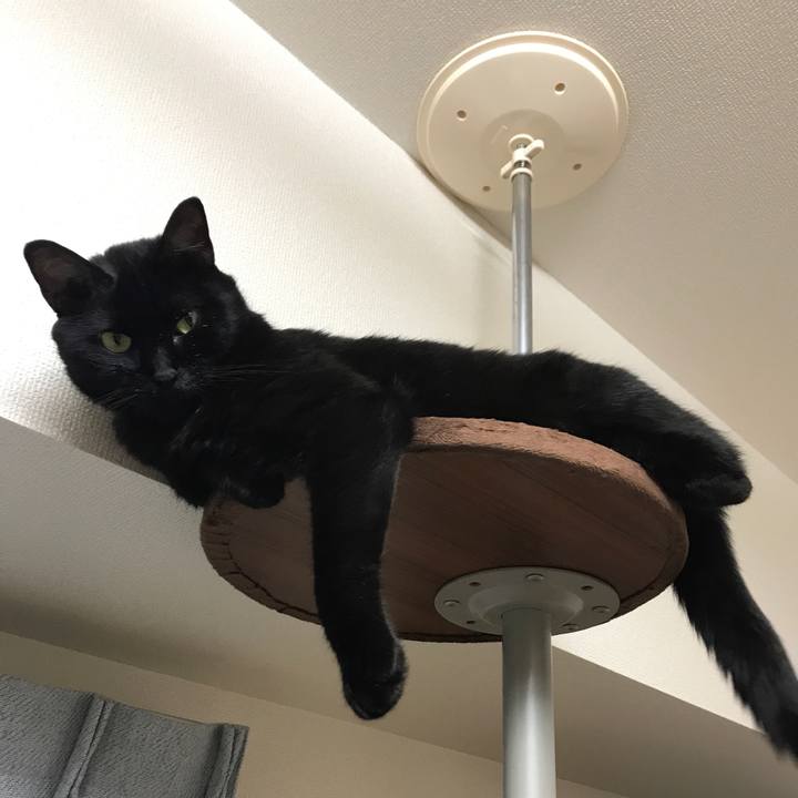 F5974866 4275 415d bceb 719f4b889915 1508235888323