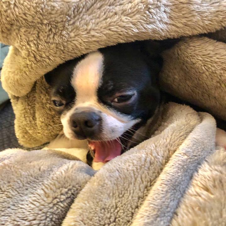 F5974a5f 66a0 412a bc77 3770de272685 1547421626111