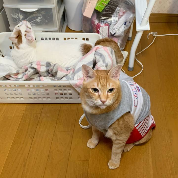 F5975899 e5b3 48ff be67 fe5de838db66 1614116724025