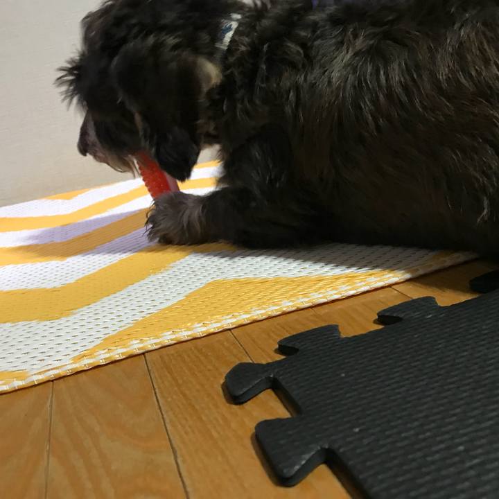 F5977738 c1c2 4afb 9f22 91d546daf8d3 1508253244308