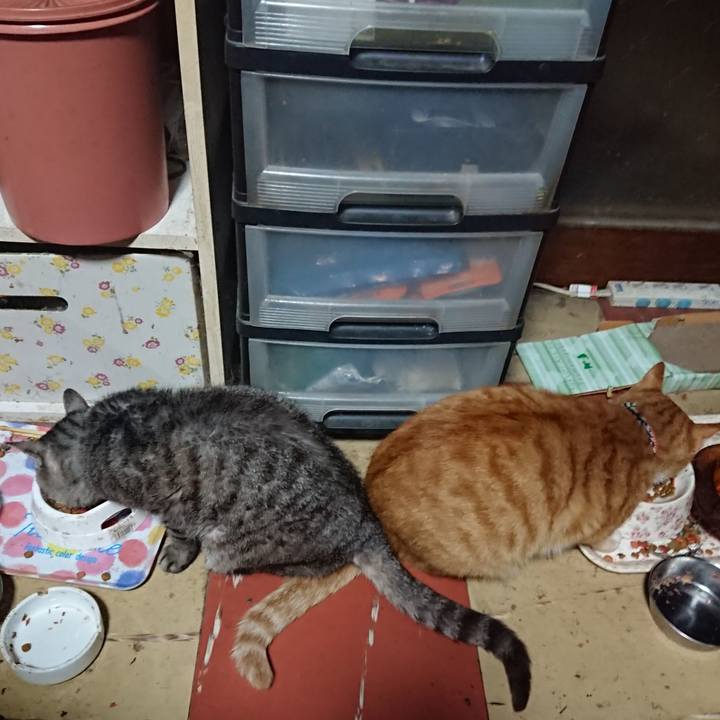 F5977d17 a594 4bf4 ba3b e329d5ba909b 1570477894514