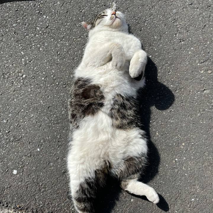 F597e389 d115 49a9 8e0f 107c48fff63a 1613196842988