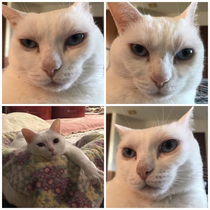 F598226c 084e 42b4 9408 7f2c449a32d8 1603973648854