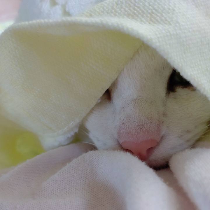 F5984e9b 3ff0 4629 b218 a250384e22ce 1695338781947