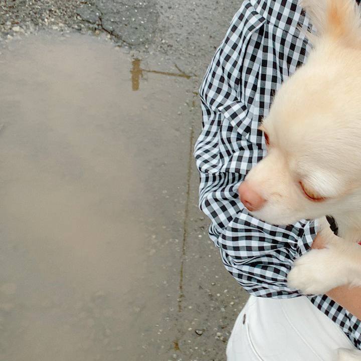 F5985874 d5da 4316 820d 997cbcf94b11 1630651651245