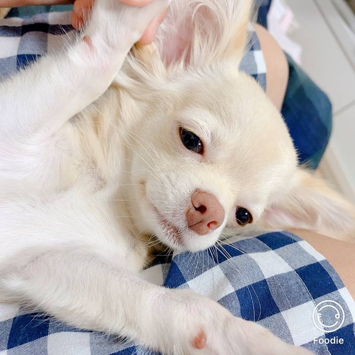 F5986b2d b9d1 4840 9ca6 4df3e8548b04 1601353779462