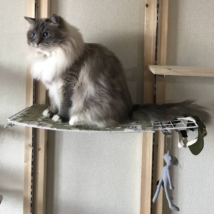 F5987199 2136 4174 8653 531825c02c19 1525962081334