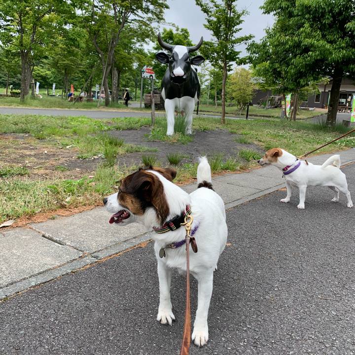 F5988fa5 32be 4d23 becd 11d0246535b6 1590909382546