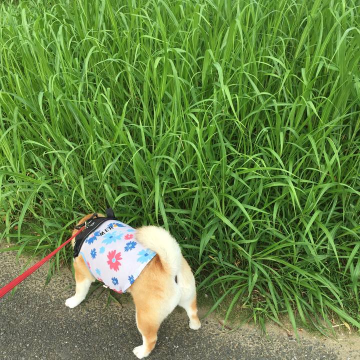 F598bc8a 0aea 4cc5 8eb2 9b971613e2f8 1596584799366