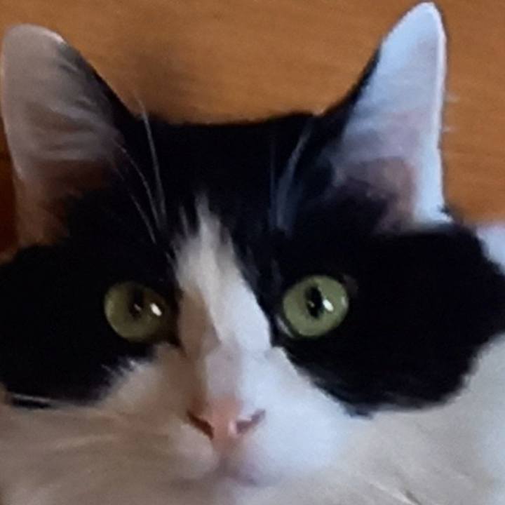 F5990095 9b88 4587 a733 c53cfe971247 1613821894071