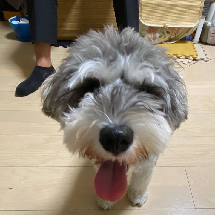 F59914f7 30b1 43ae 8f8e 50408a1a6e03 1599474764346